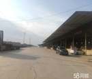 4000平起租310国道与小浪底专线交叉口食品厂仓库物流园 
