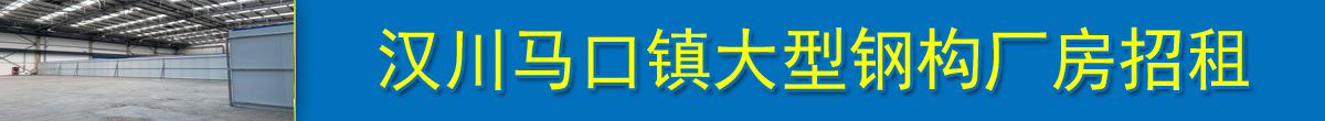 汉川马口镇大型钢构厂房招租