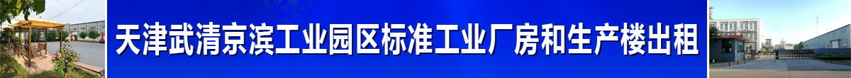 天津武清京滨工业园区标准工业厂房和生产楼出租
