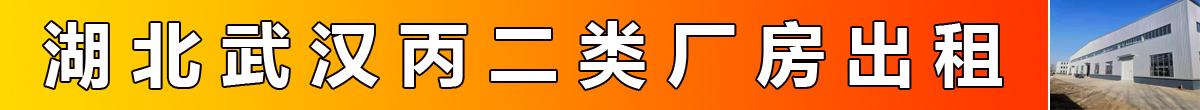 湖北武汉丙二类厂房出租