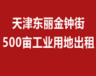 出租东丽金钟街500亩工业用地。网站、中介勿扰