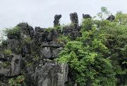 临桂真龙汽车城东面150500亩土地(水田)出租