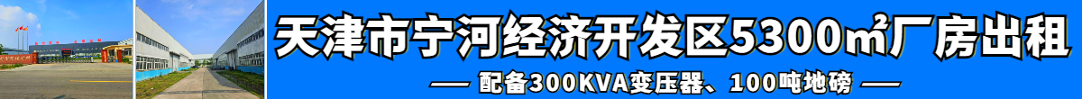 天津宁河开发区优质厂房出租