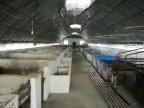 保定安国5亩养猪场整体出租