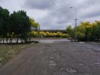 出租东丽外环东路10亩独院场地
