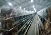 养鸡厂房交通方便设备齐全租上即可使用