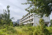 天津外环240亩国有工业用地、厂房出租